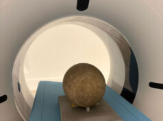 Tre uova di dinosauro sotto l’occhio della TAC al Centro di Anatomia dell’Alma Mater