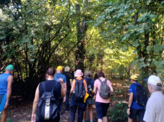 Le meraviglie del fiume, alla scoperta della via Romea Germanica Imperiale con i weekend in cammino