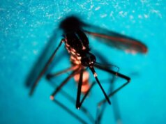 Da inizio anno 718 casi di West Nile in Italia, 49 decessi