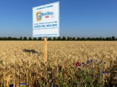 Con “Buongrano” Mulino Bianco porta l’agricoltura rigenerativa a tavola