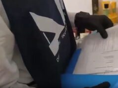 ‘Ndrangheta, arrestati 8 affiliati nel Bolognese. Sequestro beni per 1,5 mln