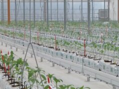 Bayer apre le porte all’innovazione, nuove serre hi-tech a Latina