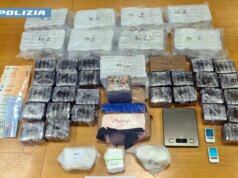 Sequestrate 2 tonnellate di stupefacenti nel torinese