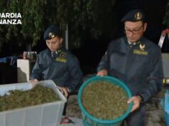 Scoperta “fabbrica della droga” a Napoli, sequestrata una tonnellata di cannabis