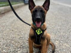 Blitz si presenta alla città di Sassuolo