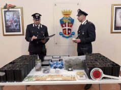 Bologna: in casa oltre 1 kg di hashish e marijuana, 50 piante e 5.000 euro in contanti
