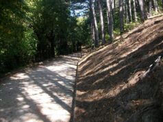 Assemblea pubblica sui lavori svolti sulle pinete di Castelnovo il 9 ottobre