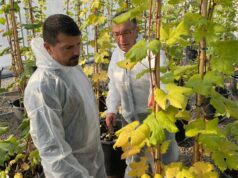 Inaugurata al Zanelli di Reggio la nuova sede del Nucleo di premoltiplicazione Viticola dell’Emilia-Romagna