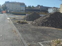 Preoccupazione di Legambiente per l’abbattimento dei tigli di via Pia a Sassuolo