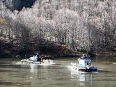 Asportazione con mezzi anfibi della “Millefoglio” invasiva al lago Santo modenese