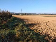 A San Lazzaro nasce “La Farina del Dono”: progetto di comunità per un’agricoltura solidale e condivisa