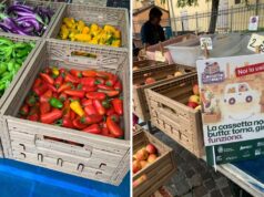 La cassetta per frutta e verdura diventa circolare al Mercato Ritrovato e tra i banchi dei produttori agricoli di Borgo Panigale
