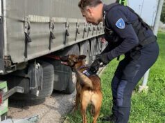 Controlli straordinari a Mirandola