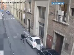 Bologna, danneggia un’autovettura della Polizia di Stato dopo essere uscito dagli Uffici della Questura