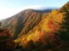 Unione Appennino Reggiano, Ferrari: “L’autunno in appennino offre le migliori eccellenze, paesaggistiche e agroalimentari”