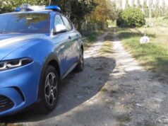 Arrestato 20enne per la violenza sessuale e la rapina ai danni di una donna lo scorso 19 agosto a San Damaso, vicino alle Casse di espansione del fiume Panaro