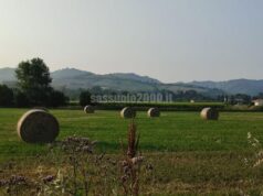 Agricoltura, artigianato, turismo: fra tradizione e futuro, le professioni che trovano nuova linfa in Appennino