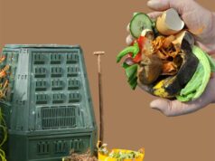 Quando i rifiuti sono una risorsa: alla scoperta del compostaggio in agricoltura