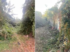 Lavori di pulizia lungo la ferrovia Sassuolo – Reggio Emilia