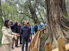 Cina-Italia: Strada per Shu e Via Appia, dialogo tra civiltà attraverso montagne e mari