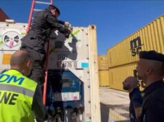 Sequestrati al porto di Gioia Tauro oltre 175 chilogrammi di cocaina