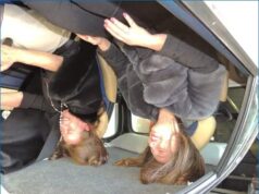 Crash test in piazza a Scandiano e Reggio Emilia