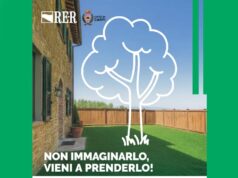 Sabato 22 novembre, la Festa degli alberi in centro storico a Carpi