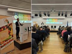 Costo della manodopera nelle imprese di ortofrutta, Mammi scrive al Governo