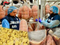 Controlli dei NAS in un pastificio nel bolognese