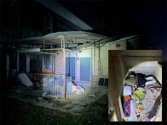 Occupa abusivamente una struttura comunale a Ravarino, intervengono i carabinieri