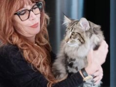 Sognepusen Giro è il gatto più bello dell’esposizione gatti di razza di Fiorano Modenese