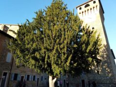 Sabato al Castello di Levizzano l’iniziativa “Caro Albero”