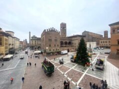 È arrivato l’albero di Natale in piazza Nettuno, donato dal Comune di Grizzana
