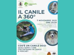 Serata informativa rivolta alla cittadinanza a cura del Comune di Castel Maggiore e del Canile il Giovanetto