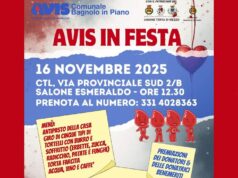 “AVIS in Festa” domenica a Bagnolo