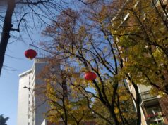 Reggio Emilia: in stazione lanterne cinesi al posto delle luminarie