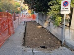 San Lazzaro, nuovi alberi e meno asfalto: partiti i lavori alla Ponticella