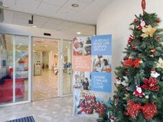 Natale solidale: a Bologna il primo temporary shop di Piccoli Grandi Cuori