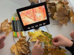 Castelnovo Monti, tante iniziative in corso per Settimana per l’educazione alla sostenibilità