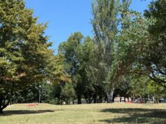 On line la mappa interattiva del verde pubblico comunale di Carpi