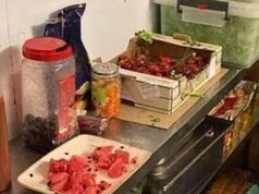 Nas sequestrano a Reggio Calabria una tonnellata di alimenti non conformi