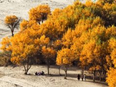 Cina, nello Xinjiang produzione di petrolio greggio supera 1,7 mln di tonnellate