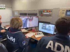 Sequestrati 248 chili di cocaina al porto di Gioia Tauro