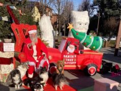 La magia del Natale illumina Fiorano Modenese