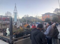 Duecento piccoli alberi regalati ai cittadini in piazza il 6 dicembre