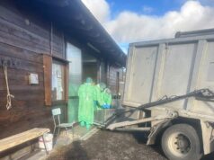 Due positività alla febbre suina in carcasse di cinghiali nel comune di Villa Minozzo