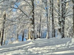 Festività di fine anno, dalla montagna alla costa l’Emilia-Romagna è pronta ad accogliere i turisti per Capodanno