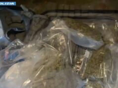 Vasta operazione della Polizia di Stato in diverse province contro la criminalità diffusa, 384 arresti e 655 denunce. Sequestrati circa kg 1.400 di droga. Tre arresti a Reggio Emilia