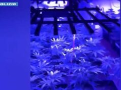 Vasta operazione della Polizia di Stato in diverse province contro la criminalità diffusa. 384 arresti e 655 denunce. Sequestrati circa kg 1.400 di droga