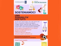 Sostenere i progetti di volontariato del territorio con un click: attivo il nuovo spazio per il crowdfunding della Fondazione Casa del Volontariato